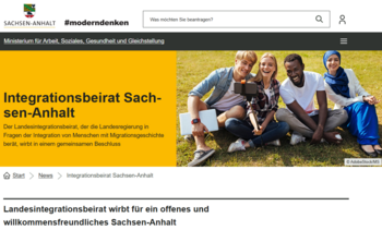 Screenshot Website MS