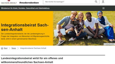 Screenshot Website MS