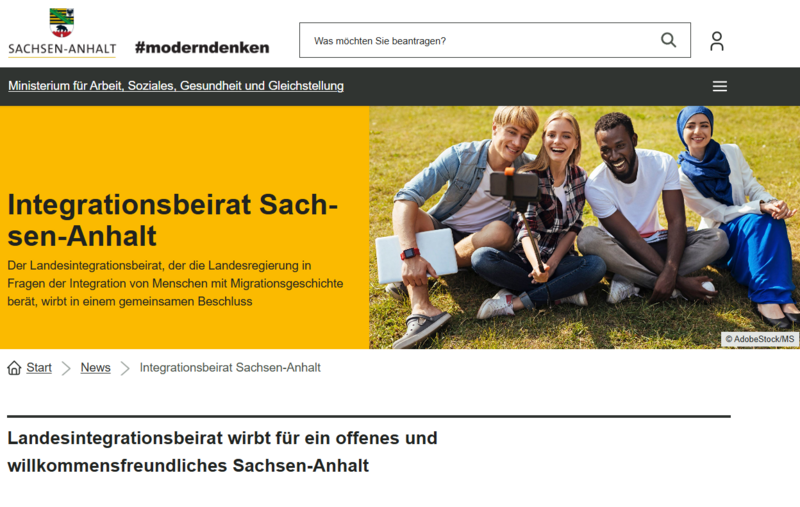Screenshot Website MS
